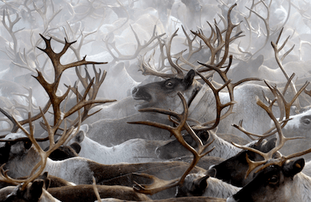 Week in Pictures