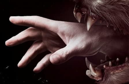 The downside of Netflix-exclusive series