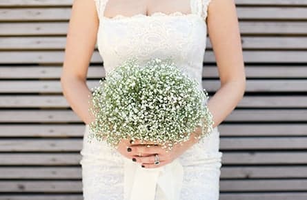 Baby’s breath elbows its way into bouquets