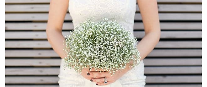 Baby’s breath elbows its way into bouquets