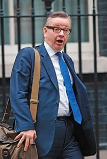 The velvet Gove
