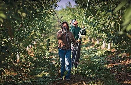 Why Canada needs its temporary foreign-worker program