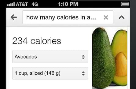 The Google diet