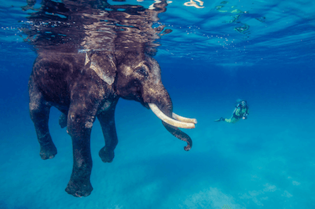 Week in Pictures
