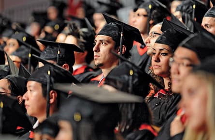 Are Ph.D.s an academic dead zone?