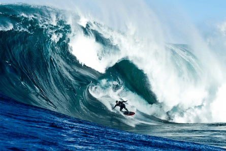 Novelty acts: The Heat, White House Down, Storm Surfers 3D