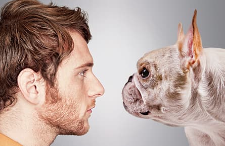 Canada goes to the dogs, cats ... reptiles