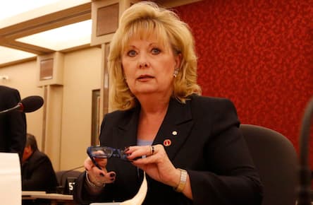 Pamela Wallin's remarks to the Senate