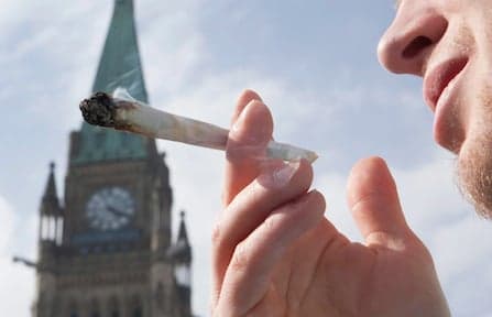 Politicians keep admitting they've smoked pot
