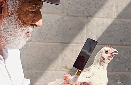 Poland's kosher problem