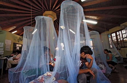 Dengue fever spreads north