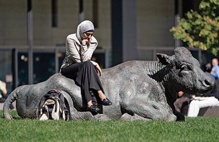 Canadian anti-Muslim sentiment is rising, disturbing new poll reveals