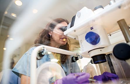 Fifty genes: which are critical?