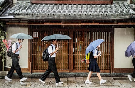 The evolutionary advantages of a cold climate