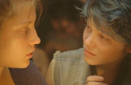 Blue is the Warmest Color deals perfectly with falling in love