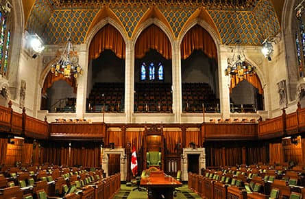 What Parliament might want to consider