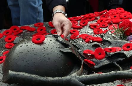 In defense of the white poppy