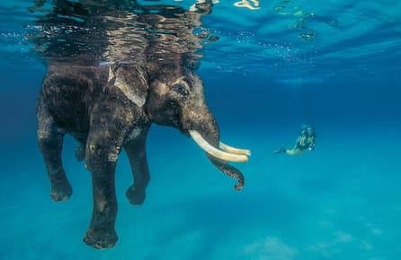 The year in pictures