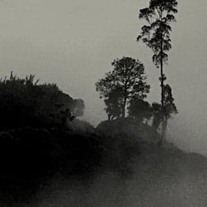 Stringer: A Reporter's Journey in the Congo