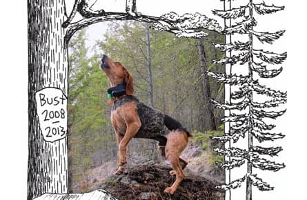 The sad death of a dog named Bust