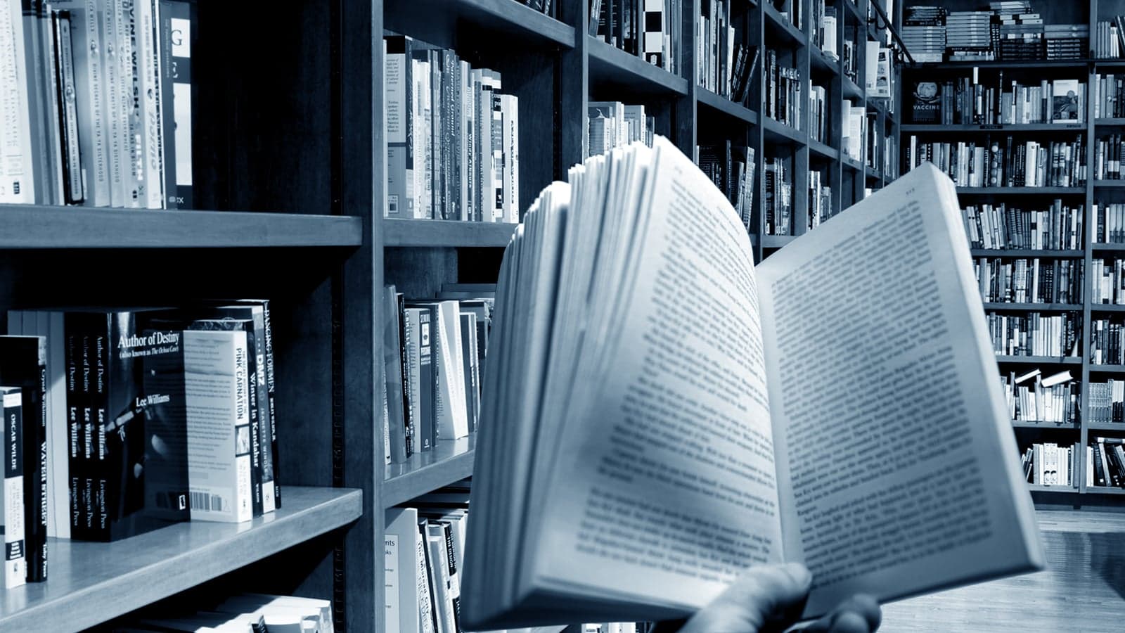 Archives: W.P. Kinsella on Holden Caulfield and writing Salinger