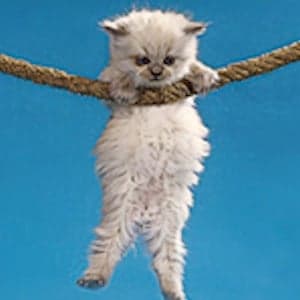 The Trouble with Self-Help