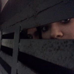 Pussy Riot members live tweet Sochi arrest