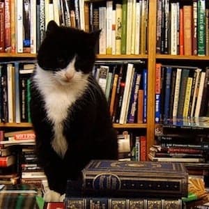 Maclean’s Books: We’ve got your weekend covered