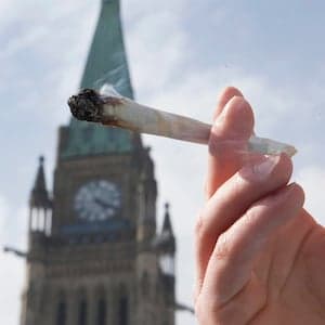 Hey Tories, drop the marijuana issue: pollster