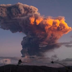 Week in pictures