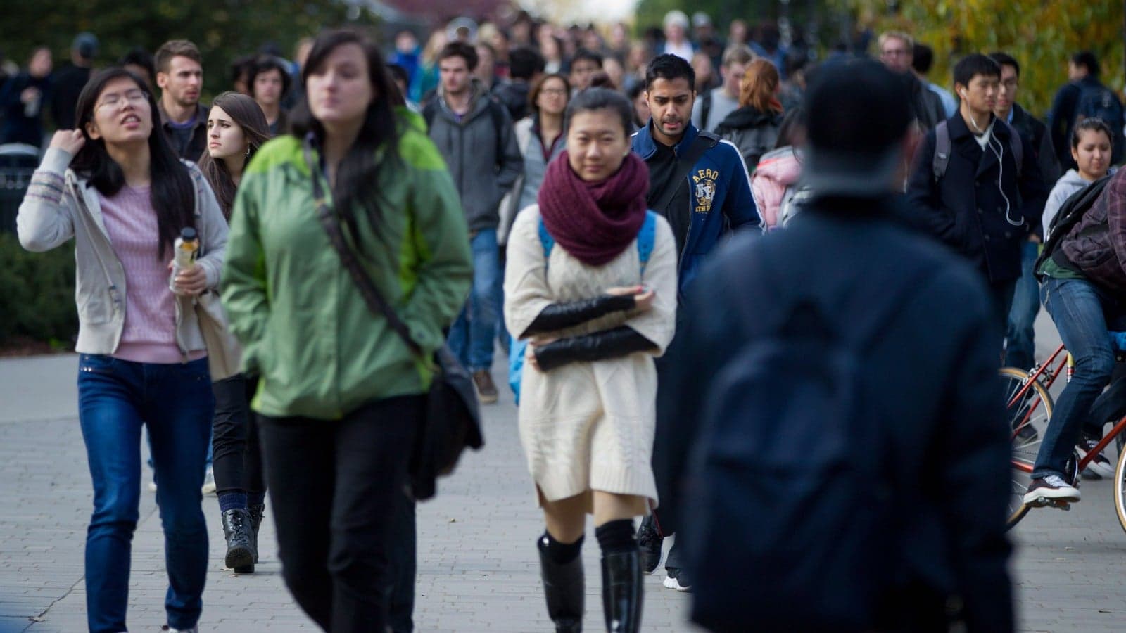B.C. education plan could hurt arts