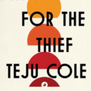 Teju Cole's tremendous first novel