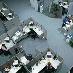The hell of a perfect, cubicle-filled office