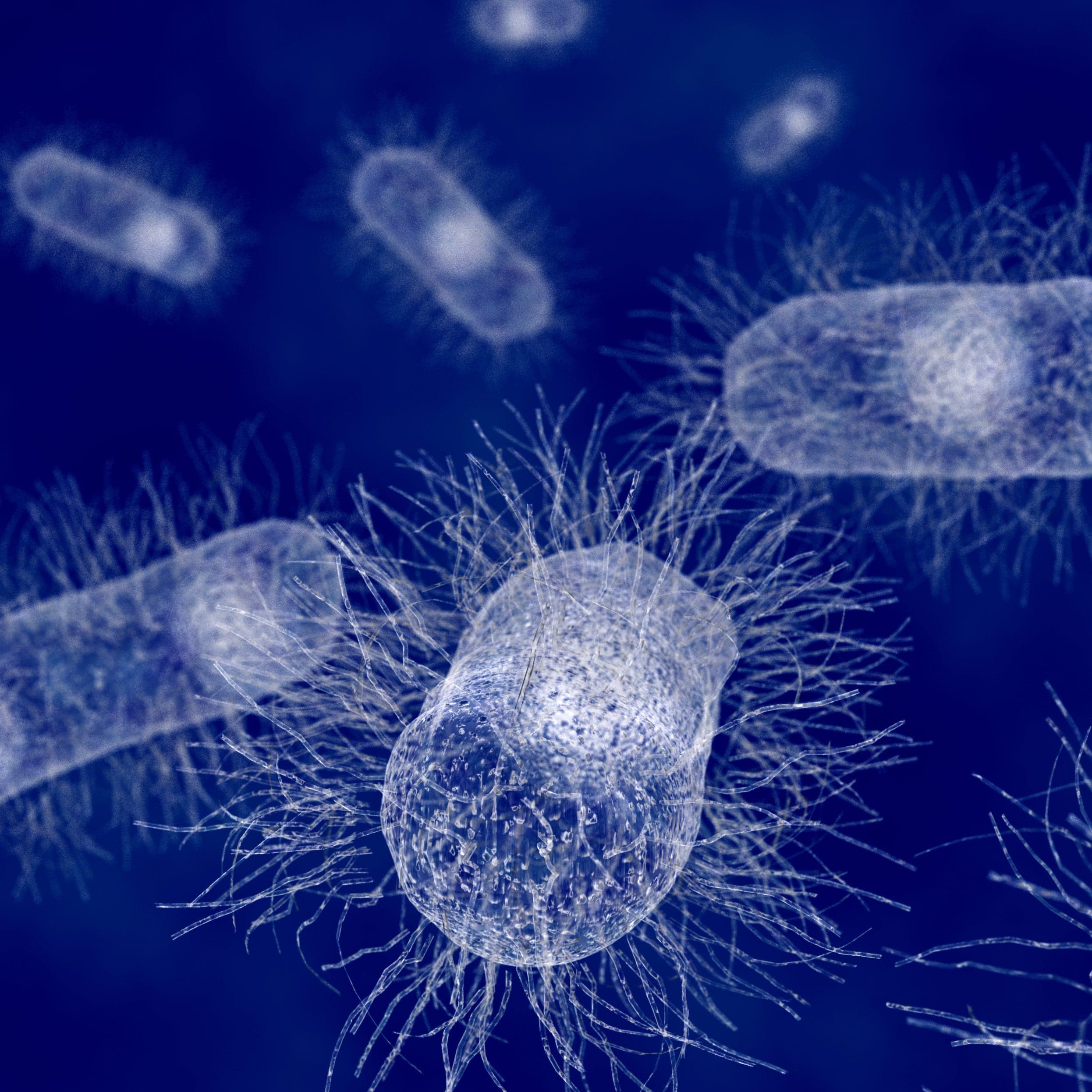 A link between bacteria and breast cancer?