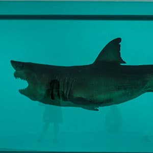 Why the rich drop millions on Damien Hirst