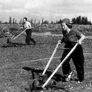 Privatizing the modern-day kibbutz