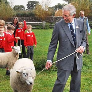 Prince Charles's Campaign for Wool comes to Canada