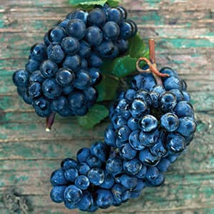 The quest to fix Quebec's wines