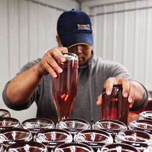 Canadian wines: So much to discover