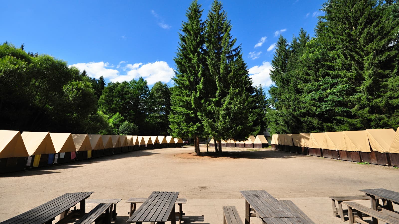 5 at 5: School board cancels summer camp because it's dangerous