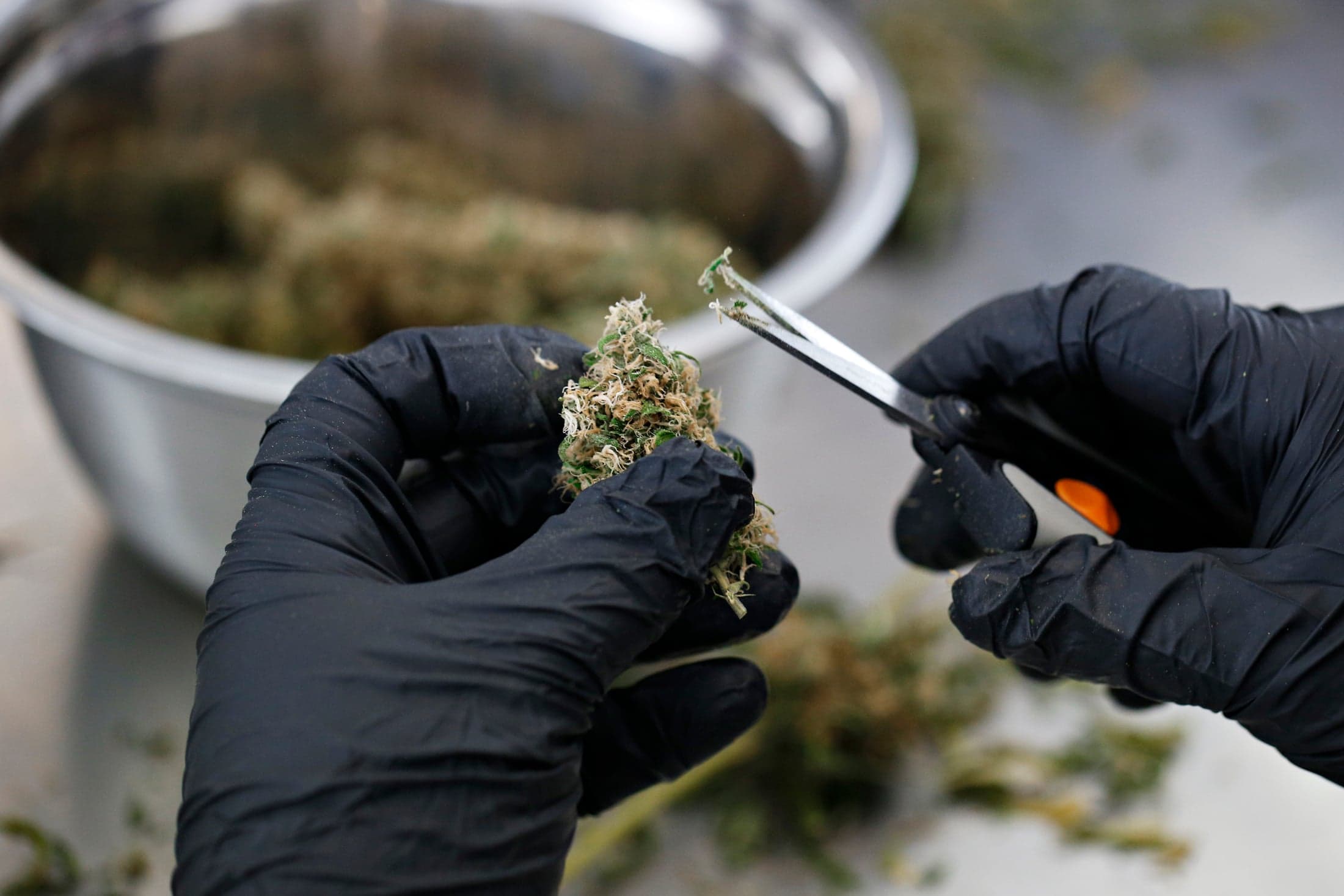Should doctors' groups back planned federal anti-marijuana ads?