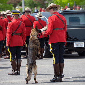 5 at 5: Sadness, disbelief and rage in Moncton