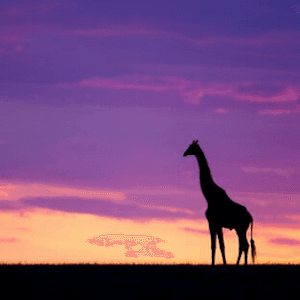 'You can't spell giraffe without gaffe' — Delta's Twitter fail