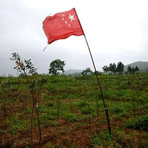 The red flags raised by the Sino-Forest case