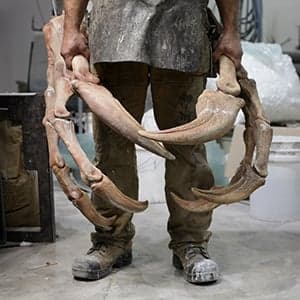 Cool Jobs Q&A: Dinosaur maker
