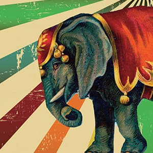 A whimsical and enlightening history of the circus: Book review