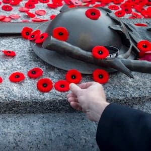 Timelapse: Remembrance Day at the National War Memorial