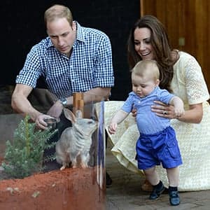 9 royal stories of 2014: From fraud to photobombs