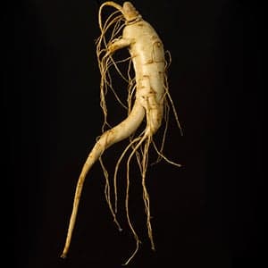 The root of the ginseng industry's problem
