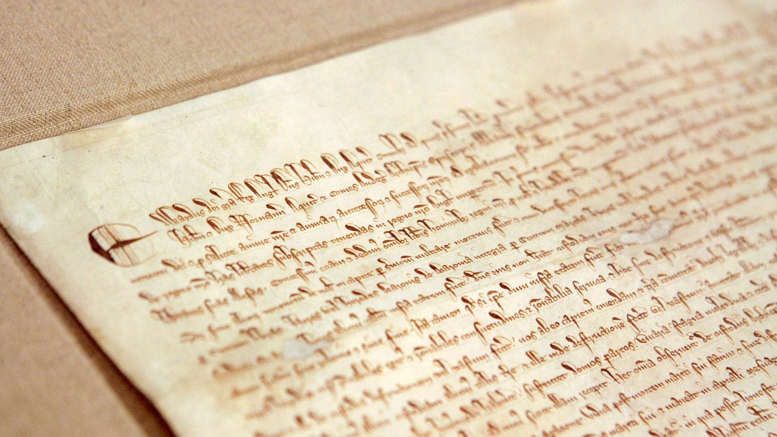 Under the influence: 800 years of the Magna Carta